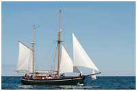 25. Hanse Sail Rostock vom 6.-9. Aug 2015